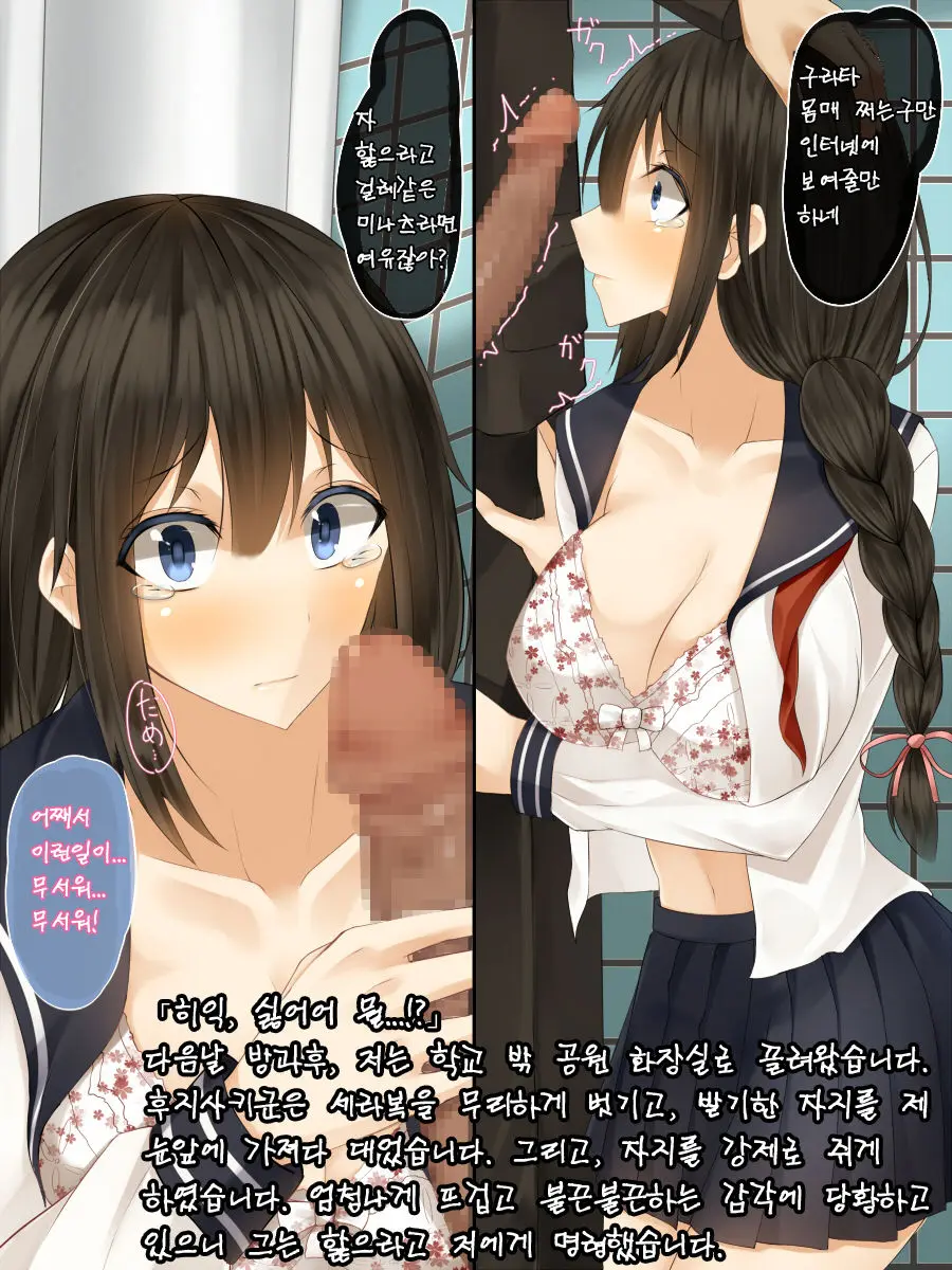 Seiso De Uchiki Na Ano Ko No, Shuuchi De H Na Himitsu
